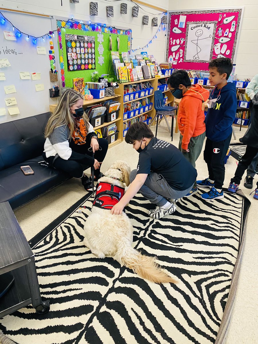 You could feel the love as the zebras got a special visit from sweet Gibson, our new MECC service dog, on his 1st day of school🤍