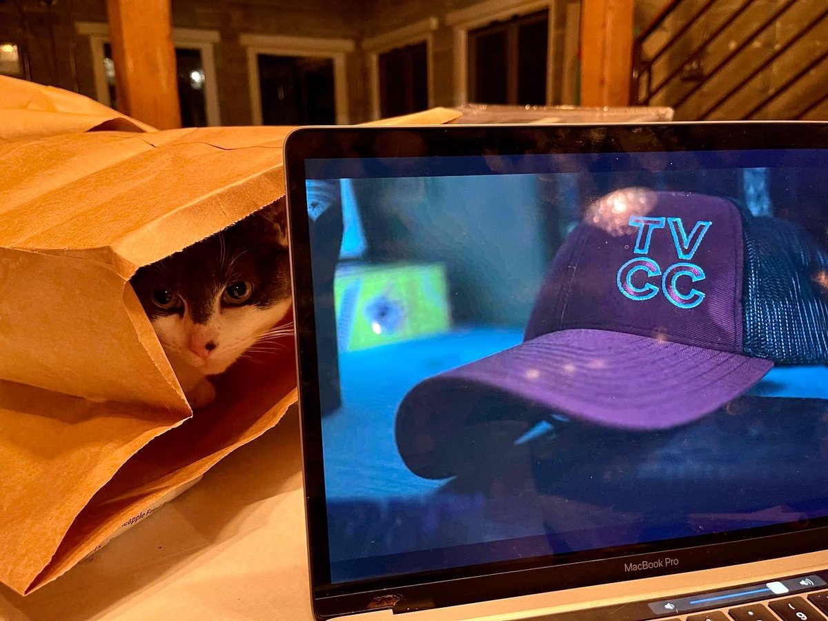 missmayim's tweet photo. Of course I watch Cheer on @netflix…and so does my cat. 😹 😽 😺 #catinabag #catwatchingtv #mycat #catskills #catsrule #cheernetflix https://t.co/upRDUjtplu