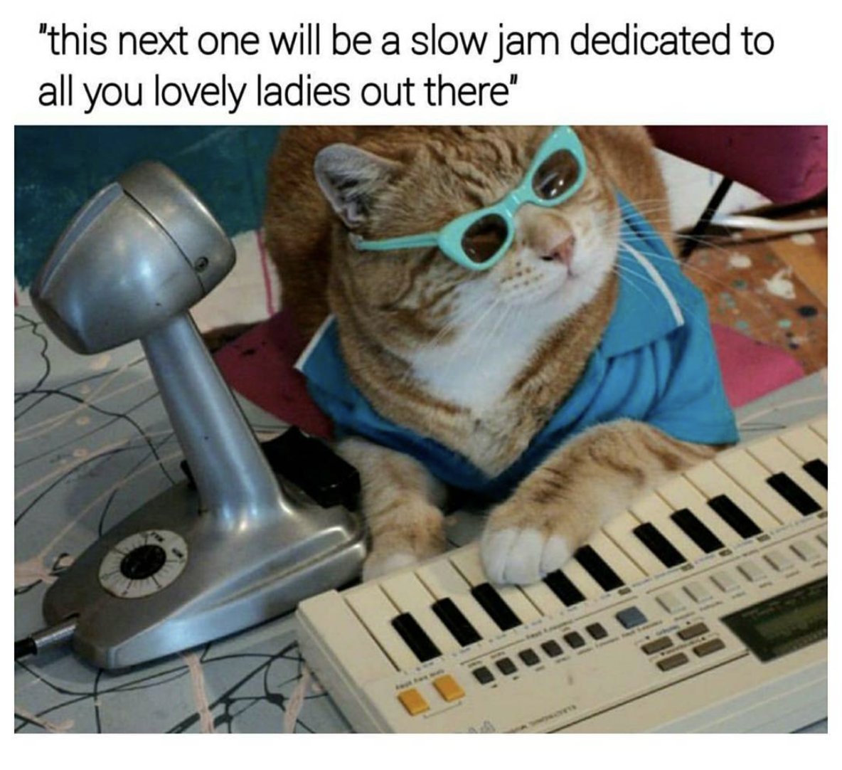 WholesomeMeme's tweet photo. https://t.co/01FZdBtBiK