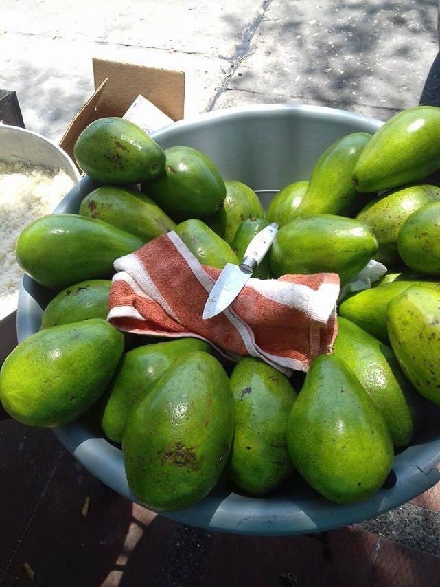 HumoristaDel's tweet image. #lasocurrenciasdelelpińa #elhumorlasocurrenciasdelelpińa TeInvitamosARestauranteSancochoYAsadoLa49Cra63-37BarrioModeloSoloElPrecio DeDeliciosoAguacateElPrecio7MilPesoYLa12ksSopitasDeLetrasMondongoCostilla GuandúVenirADisfrutaLosDiasLunesMartesMiércolesJuevesViernesSabadoDomingo…