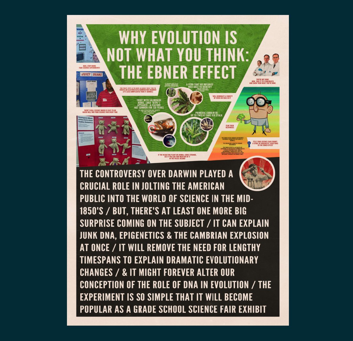 NgoloTesla's tweet photo. they DO NOT want you to apply a strong electrostatic field on seeds to INDUCE EVOLUTION AT THE PRESS OF A BUTTON https://t.co/CMzM9R9gxX