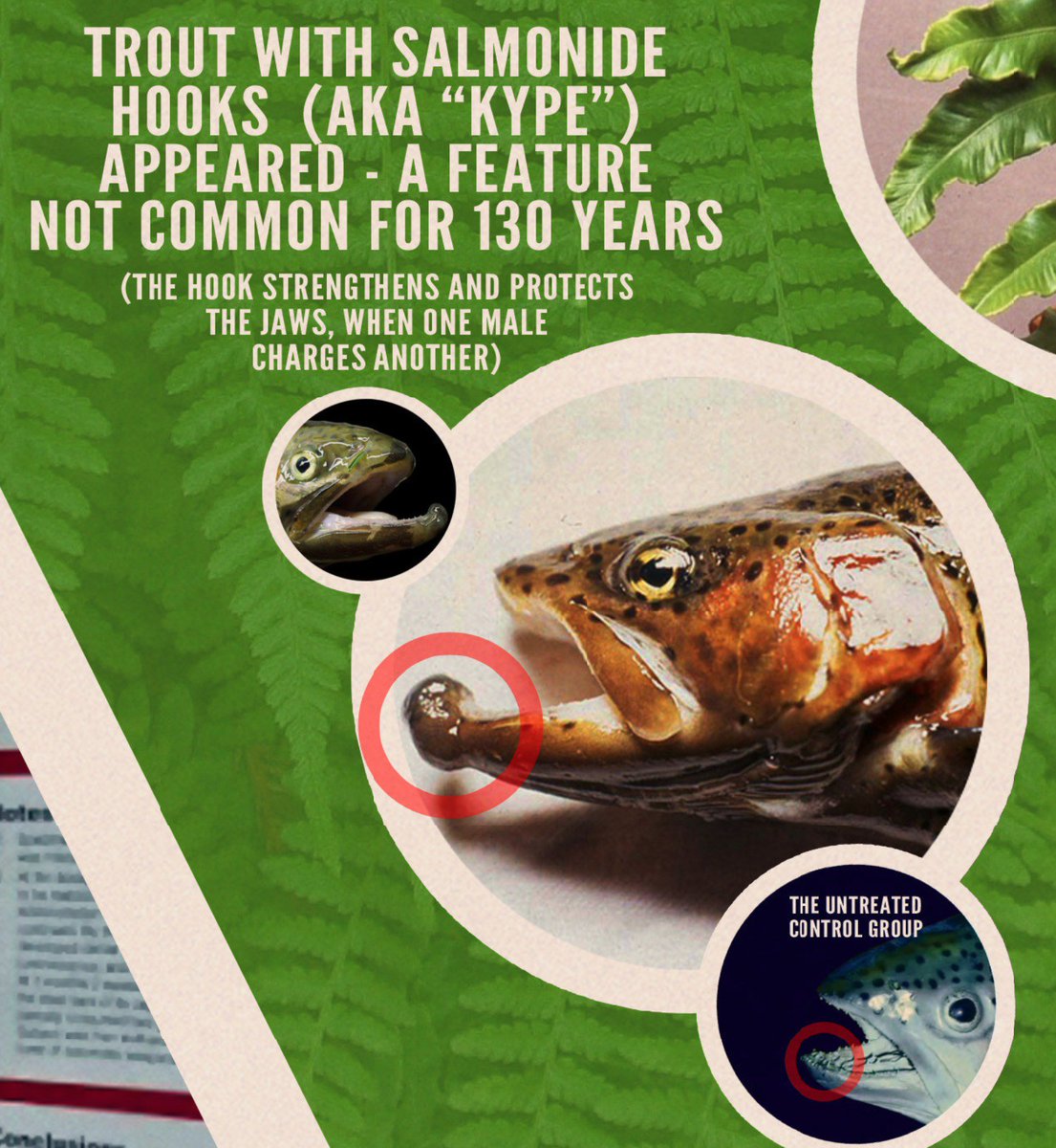 NgoloTesla's tweet photo. they DO NOT want you to apply a strong electrostatic field on seeds to INDUCE EVOLUTION AT THE PRESS OF A BUTTON https://t.co/CMzM9R9gxX