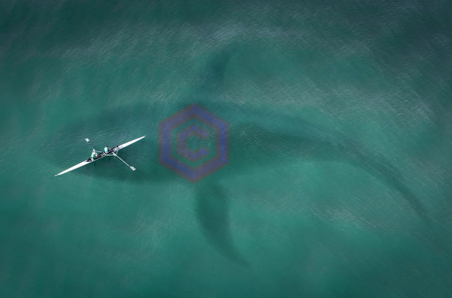 Those CMP Whales are Moving!!!  100x anyone?!?  NFA

Buckle up!!!  Our Metrics are VERY volatile right now!!

This is going to be an EPIC ride!!

!!!Remember To Only Invest Within Your Means!!!

LFCROOOOOOOOOO!!!

#cro #crofam #cromagfam #Crypto #NFT #NFTs #NFTGiveaway #NFTartist