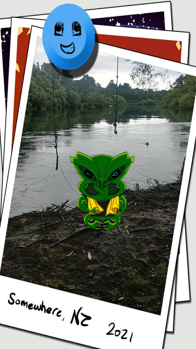 tikisontour's tweet image. House is infested. A flea bomb should do the job. Liked my weekend tho.
#Taupo #riverfloat #NFTCommunity