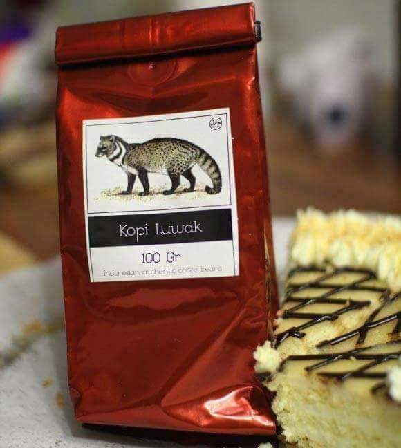 El café más caro del mundo "Kopi Luwak", 400 € /kg, es el de la civeta asiática (Paradoxurus hermaphroditus) que consume los frutos maduros y son expulsados entre sus heces parcialmente digeridos. Pero esta práctica trae para las civetas una cadena de maltrato y abuso  🧵