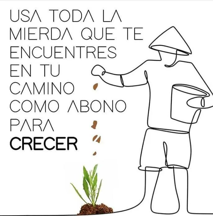 EcoInventos's tweet photo. Todo es aprovechable #economiacircular https://t.co/Zo8i2Z1DZL