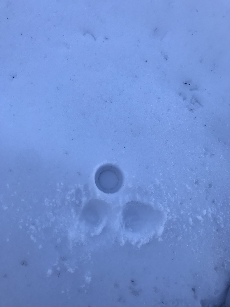 Got a foot of snow I checked myself