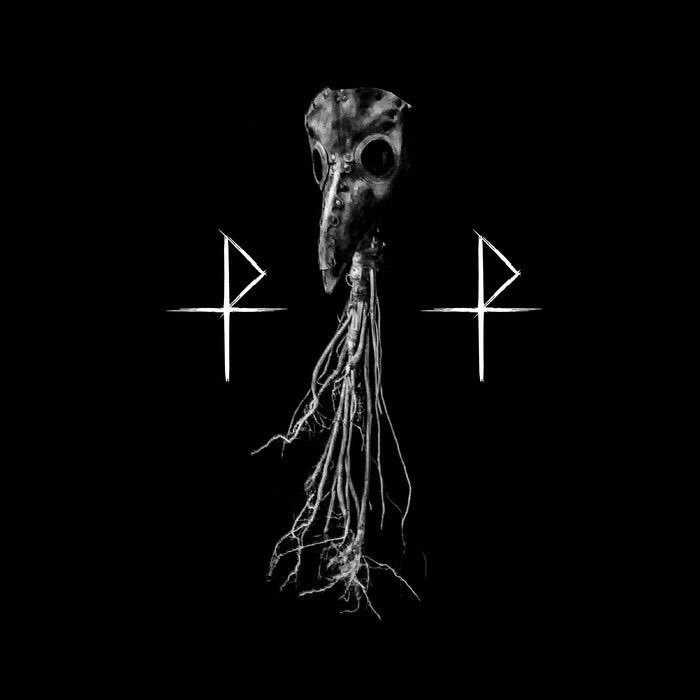 darknesscaIIing's tweet photo. Now streaming on the #darknesscalling playlist ‘Poisoned Ground’ by #plaguetower. Listen now - link in bio 🖤✨ https://t.co/jR5sucpSlV