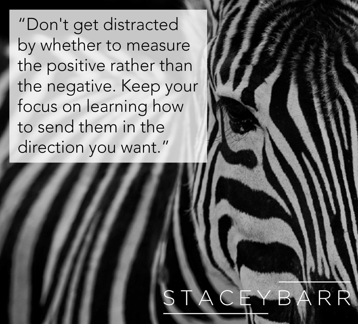 staceybarr's tweet photo. #PumpBlueprint #ProveIt #EvidenceBasedLeadership
https://t.co/DprgnsEnax https://t.co/sojb0nyPsr