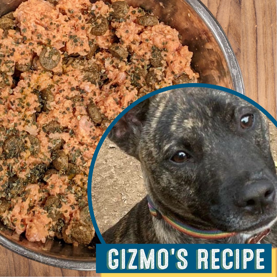 mud bay taste of the wild