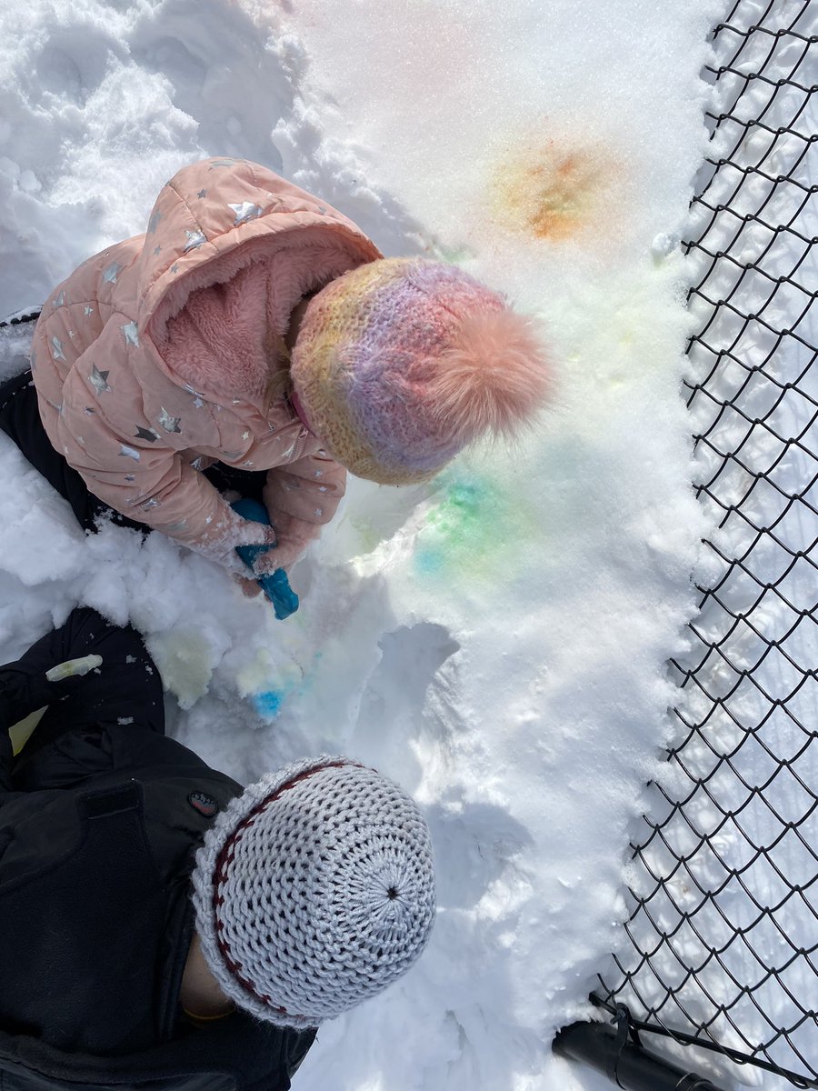 Ashley Inclema tweet media