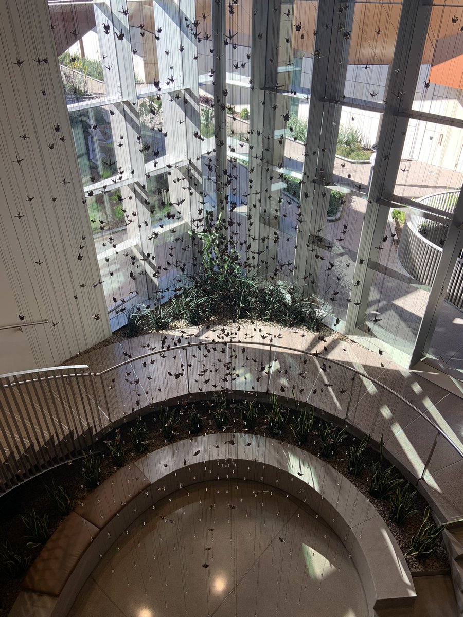 marla_franco's tweet photo. Inspired by both the space and the people at the @HeliosEdFnd. Grateful to have spent the day at the new Helios Education Campus and can’t wait to roll out some exciting news. #AZHSIs https://t.co/ruJ2tOcyyQ