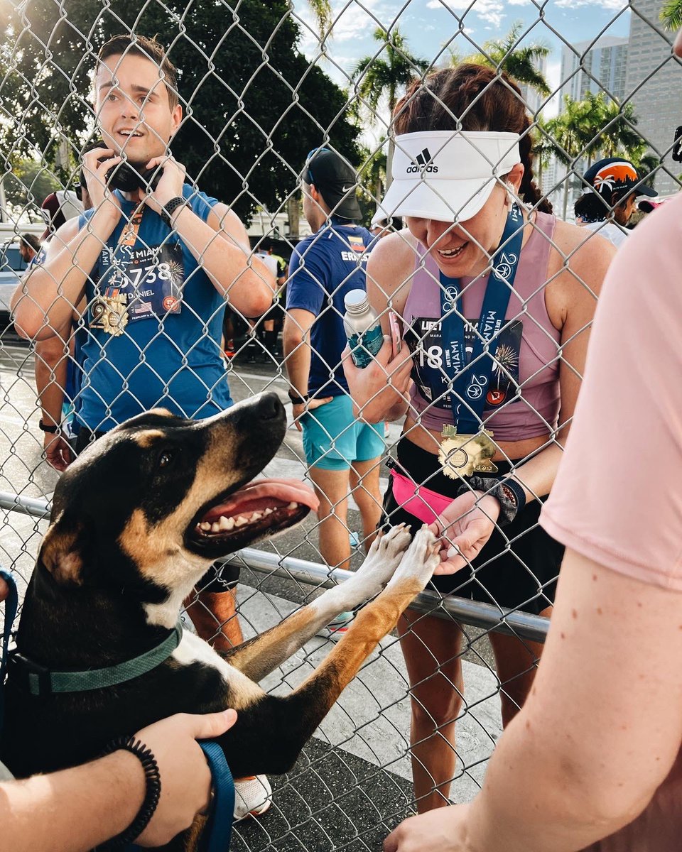 Kayla Widdowson, MD tweet media