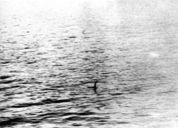 CRYPTIDSUK's tweet photo. Did you know that there was a second photo taken with the Loch Ness Monsters “Surgeons photo”
After the “Surgeons photo” was said to be a hoax the second photo has had some people saying it’s more credible than the first.
What do you think?
#LochNessMonster #SurgeonsPhoto 🦕 https://t.co/QYWUOC5jzV