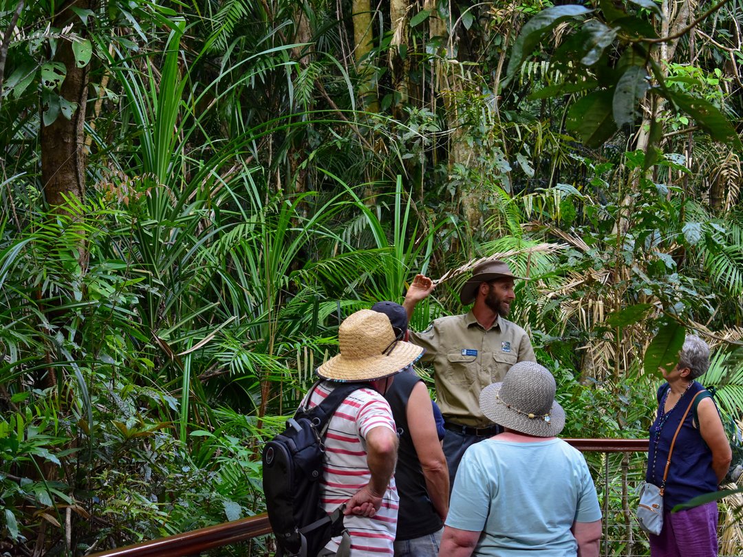 SkyrailCairns's tweet image. Say hello to the real rainforest story tellers when you venture into the jungle at #RedPeak 🤠 Our complimentary ranger guided tours offer a unique perspective into one of the most ancient pockets of rainforest on Earth. 🍃✨
#TheAncientRainforest #ThisIsQueensland