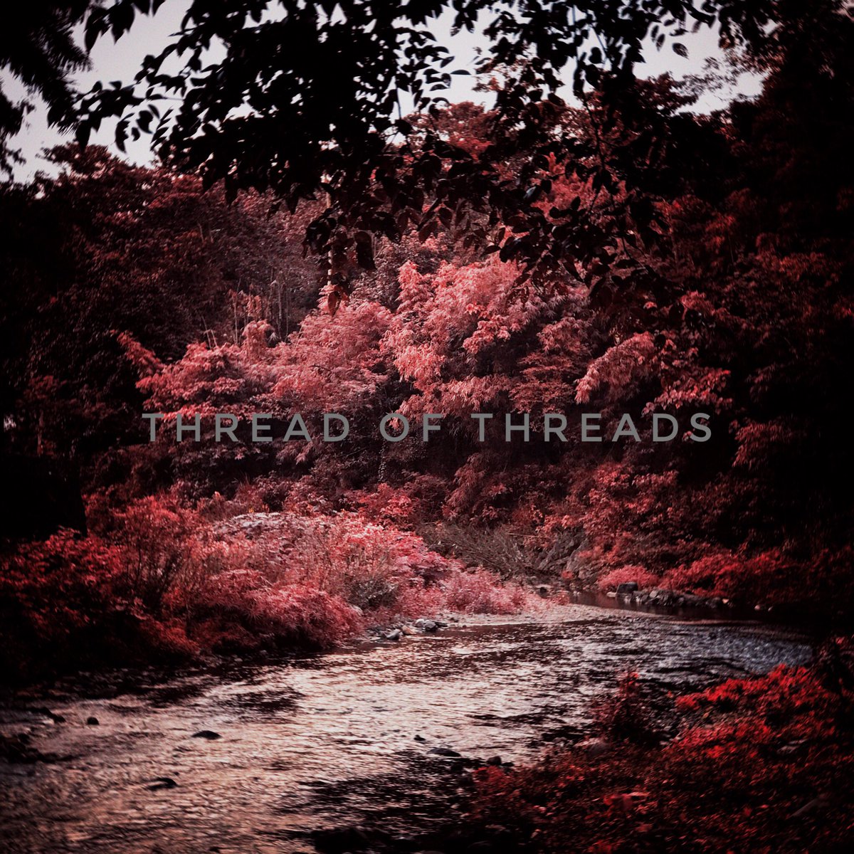 ajaxmanoban's tweet image. aus and wallpapers down there 👇