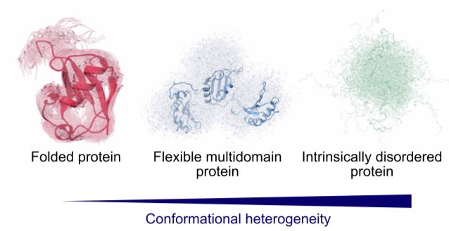 Kresten Lindorff-Larsen tweet media