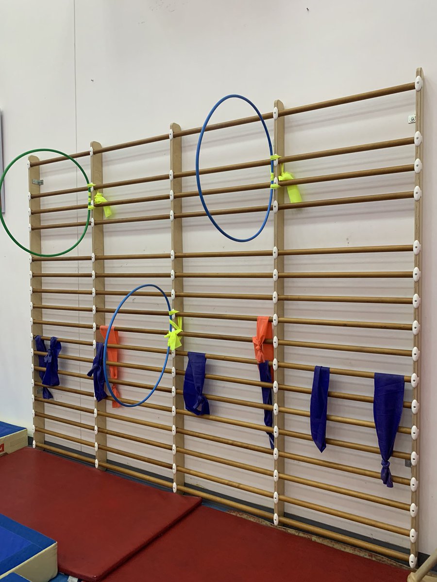 Mr Shields PE tweet media