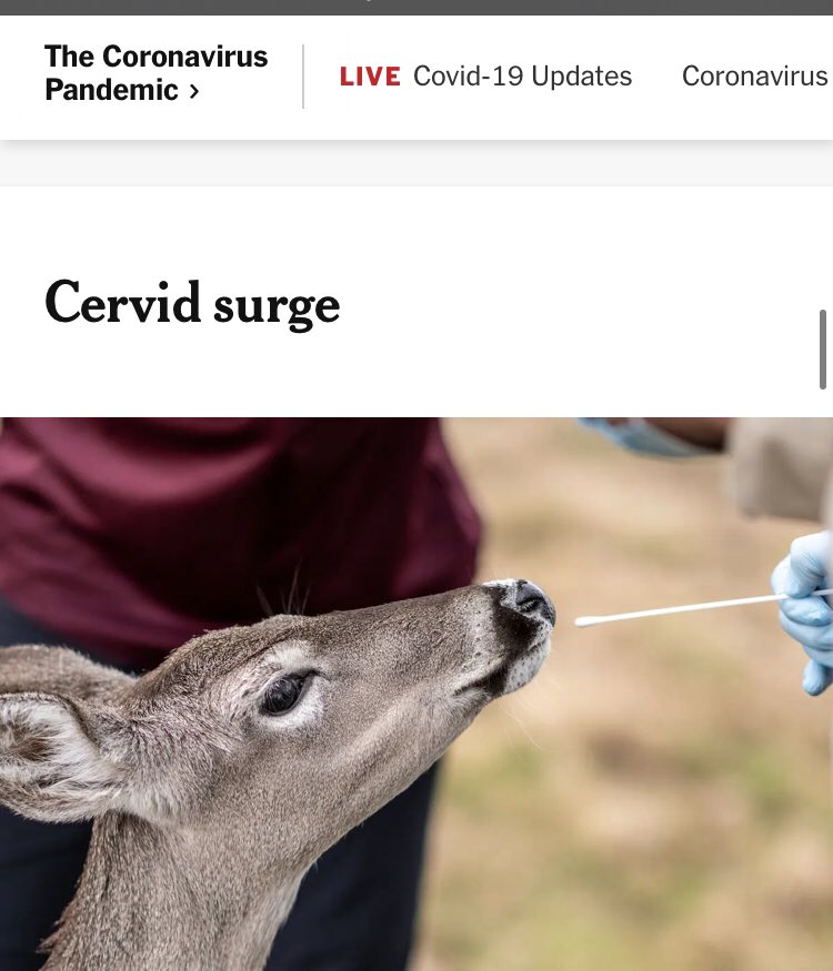 JeremyWingert79's tweet photo. Was this #NYTimes headline written by Madea?

#Cervid https://t.co/auYRZViA1d