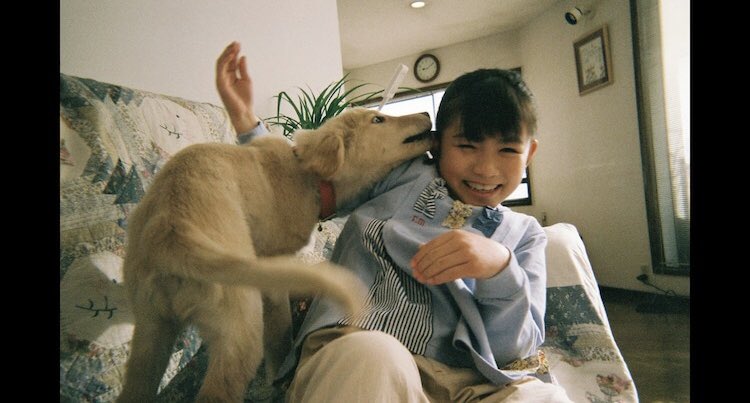 michikochida's tweet photo. 家族との何気ない時間がとても愛おしくなるMVに参加させて頂きました。
私も猫や犬たちを見送ってきました。そして、いま一緒に暮らしている子たちをギュッとしながら観ています。優里さんの音楽。映像で愛おしい時間が紡がれています。是非ご覧ください。
優里『レオ』MV
https://t.co/2VS8bwzbVl https://t.co/wNGUJFAuJl