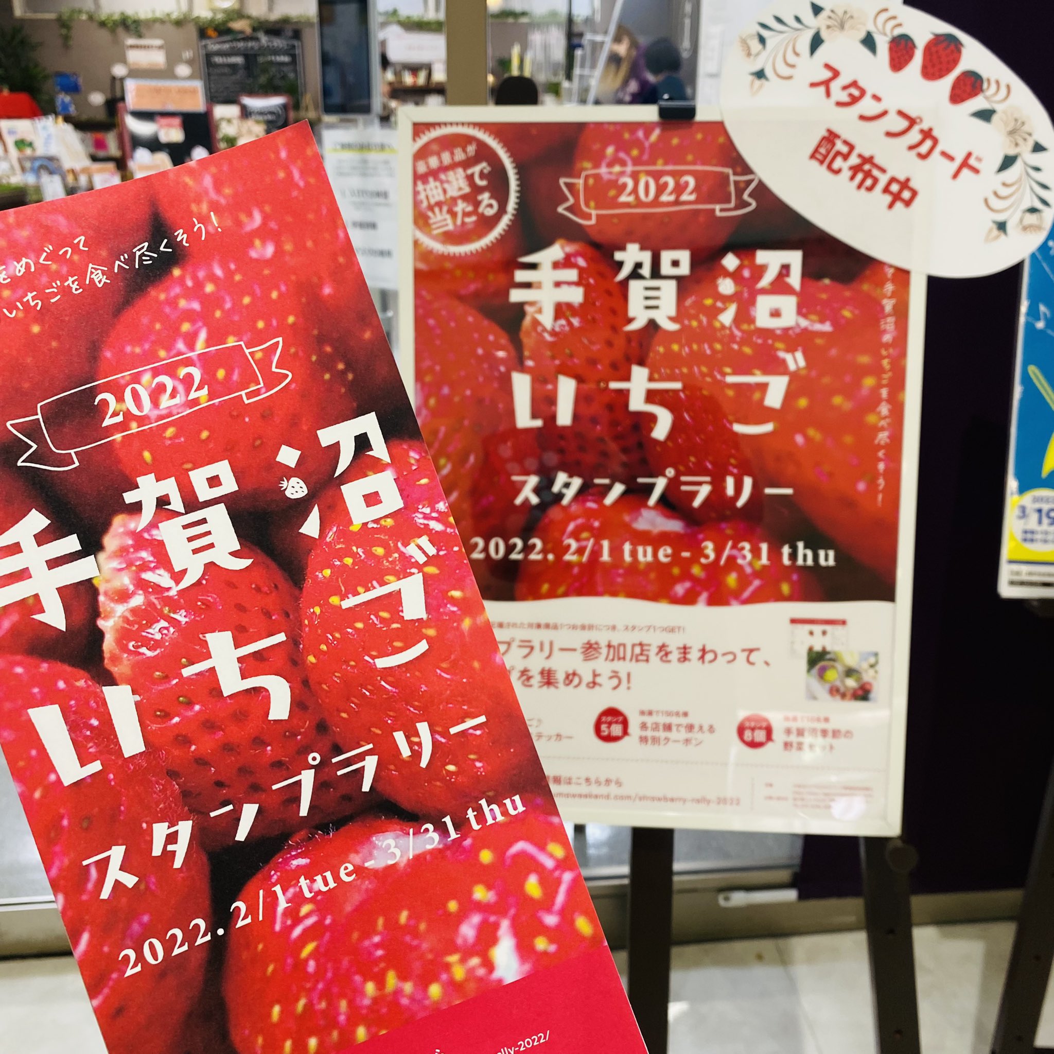 くまざわ書店柏高島屋ステーションモール店 Kbc Kashiwatsm Twitter