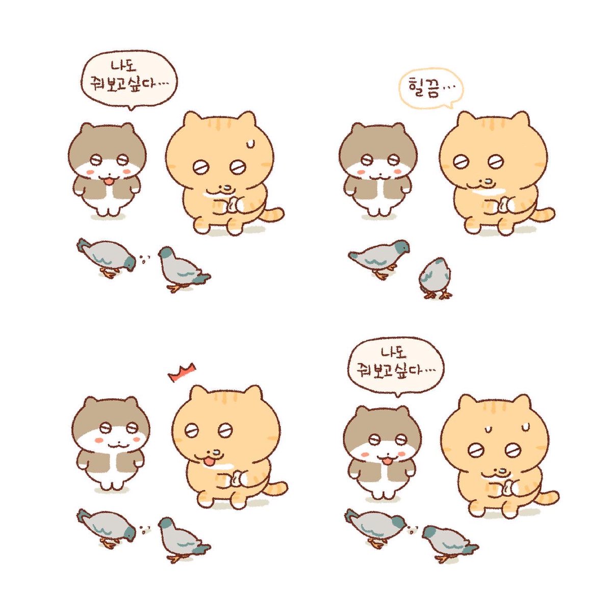 tttk_nan's tweet photo. 콩물이와 미니의 만남🐱🍡(1) https://t.co/y1esgkNtI7