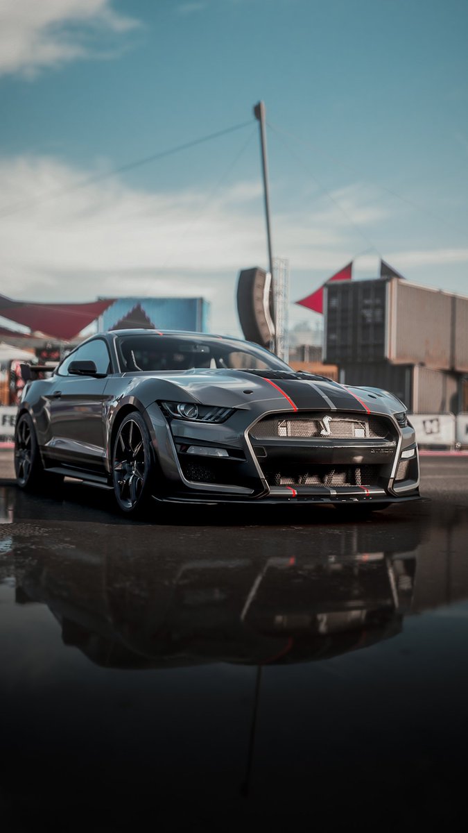 drivershots's tweet photo. Mustang Shelby GT500 20'

 #ForzaHorizon5 #ForzaShare #Xbox #VirtualPhotography  #XboxSeriesS  @Xbox @XboxBR @ForzaHorizon @FordMustang @FordBrasil @Ford https://t.co/4cV9caQIac