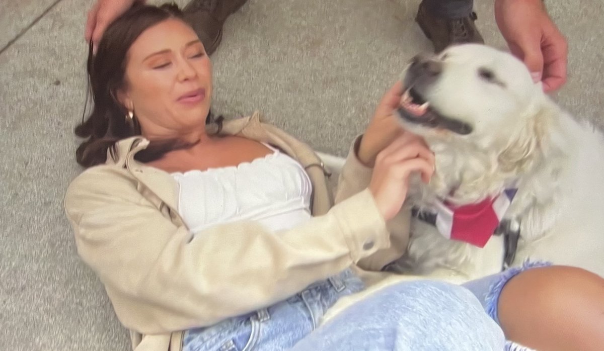 GameOfRosesPod's tweet photo. Gabby is me every single time I see any dog on the street #TheBachelor https://t.co/pKpZ5RBA7Q