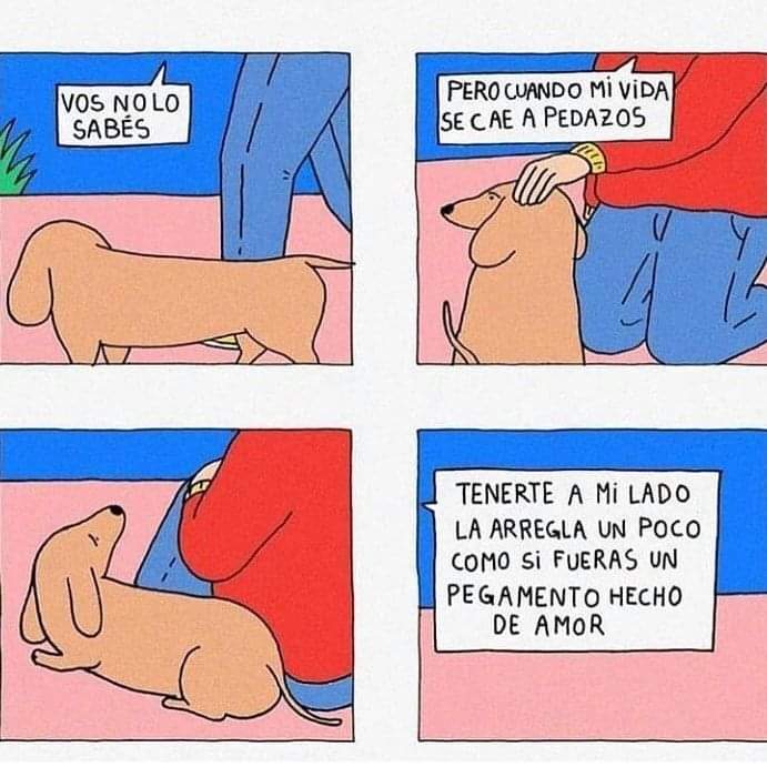 AlejandraFO822's tweet photo. Sí soy con mi lomito 🐶💚 https://t.co/aoFBQdAyi4