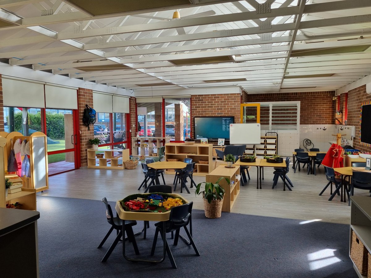 Carly Harding tweet media