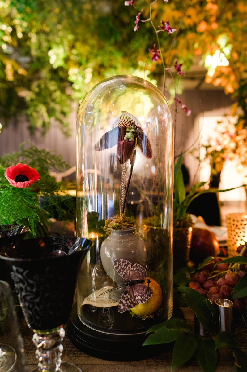 A favorite detail shot from a recent wedding inspired by nature, science and Alexander McQueen.  Photo by <a href="/kateheadleyDC/">Kate Headley</a>.  Flowers by <a href="/AmaryllisInc/">Amaryllis, Inc.</a>.