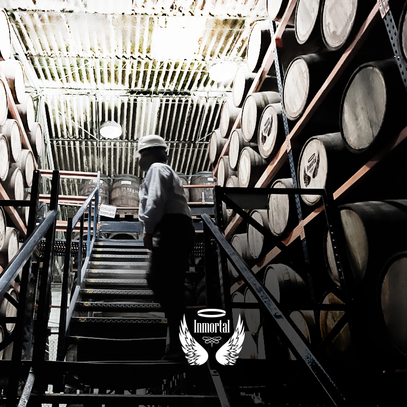 RonInmortal's tweet photo. 📍In the heart of Colombia.
To order online or learn more about Ron Inmortal click here ➡️ https://t.co/71p49E6iFH #EverlastingSpirit
#ColombianRum #RonColombiano #RumDistillery https://t.co/kf5CY1xu7a