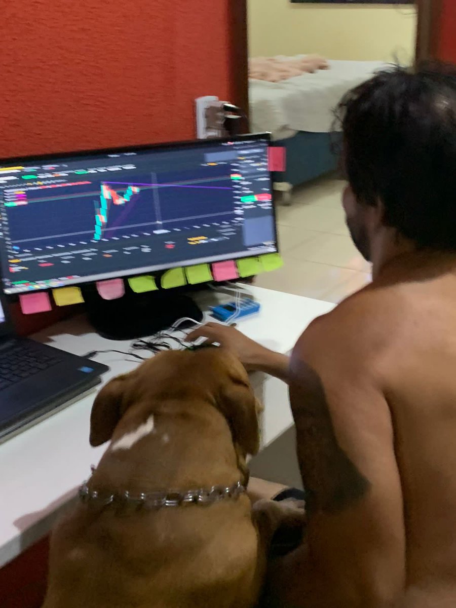Hamirestrader's tweet photo. #BabyDogeCoin https://t.co/k0MB2JNvFw