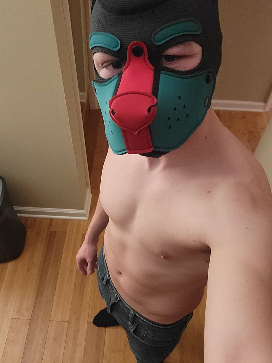PupLazarus's tweet photo. Goodnight, sweet pups. 😘 https://t.co/3cPm7eTsT1