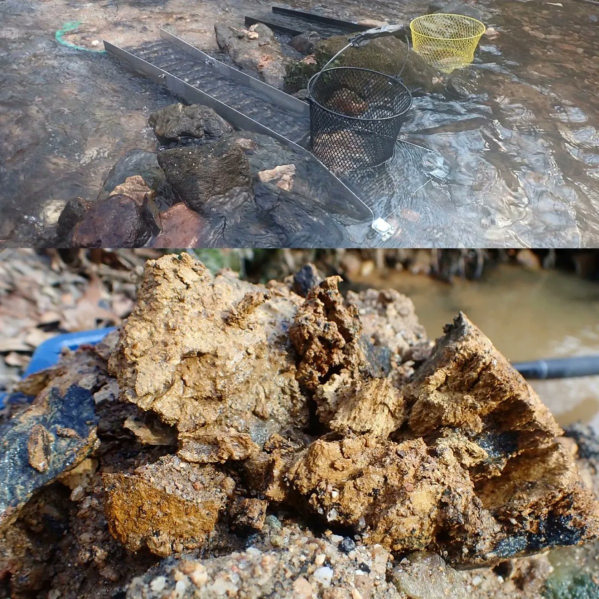 sluicelee's tweet photo. Got out for a little gold digging. Double sluicing with hog mats and classifying with metal baskets. #sluicingforgold #diyprospecting #goldprospecting #decomposingquartz #diysluice #happyprospecting https://t.co/ZJukL7fAxc