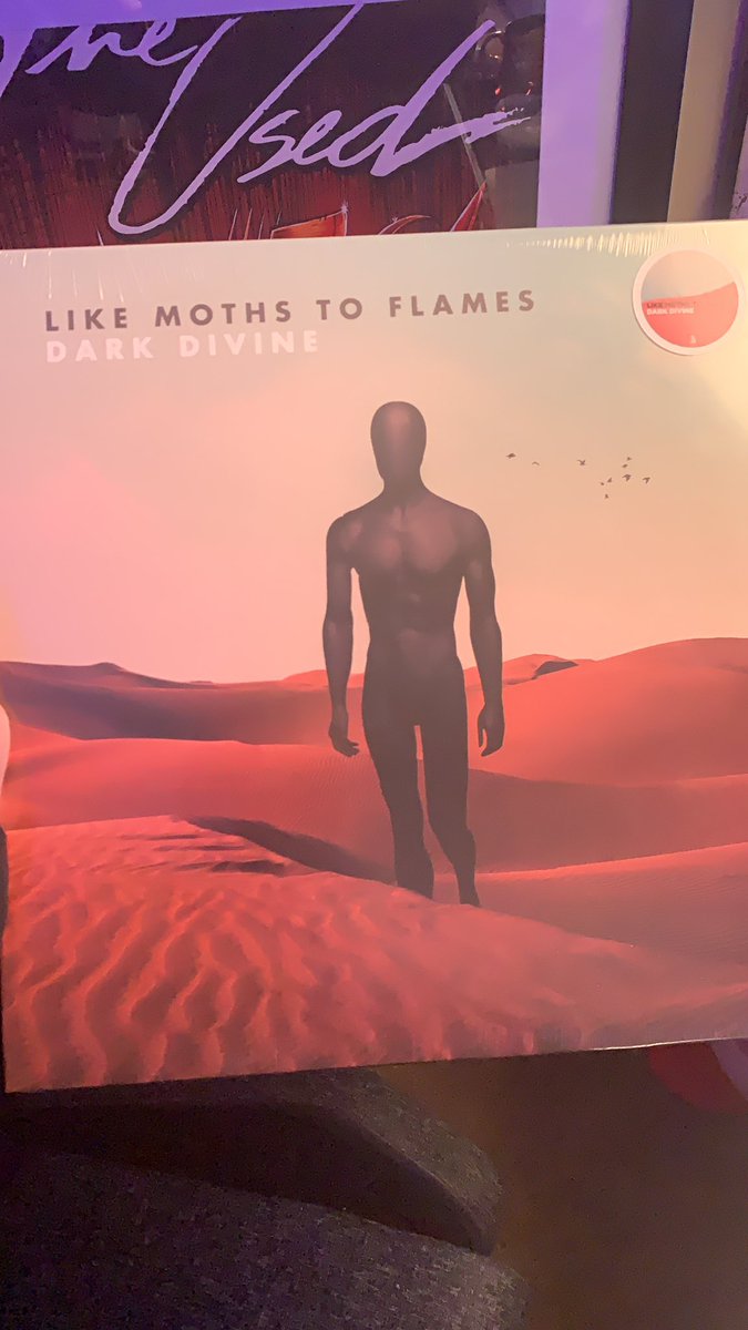Like Moths to Flames tweet media