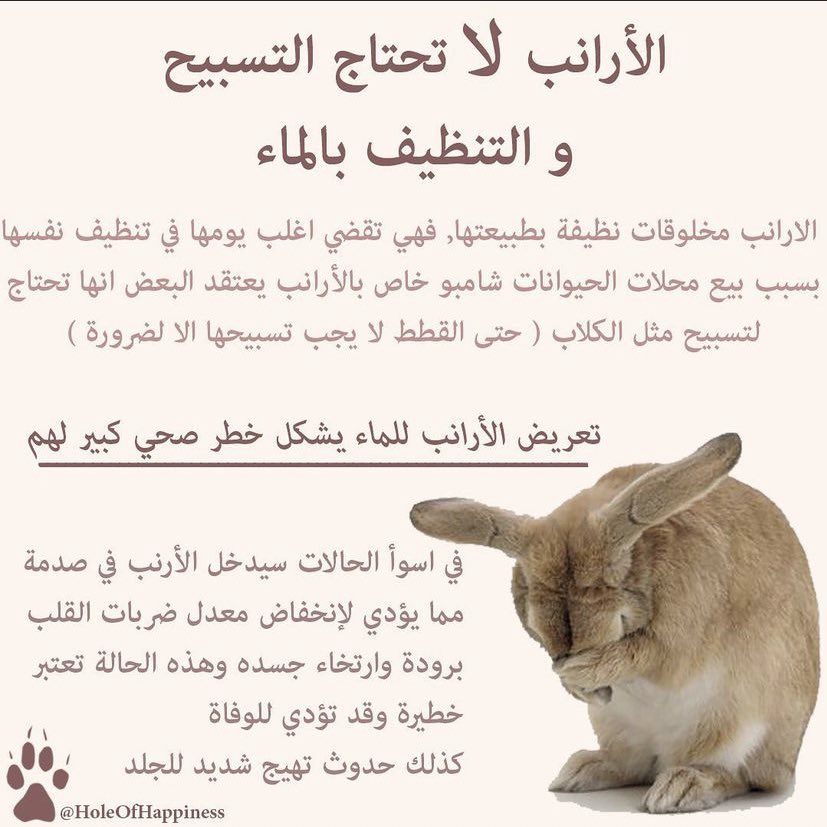 ميمونة 🌻🍄🌱 tweet media