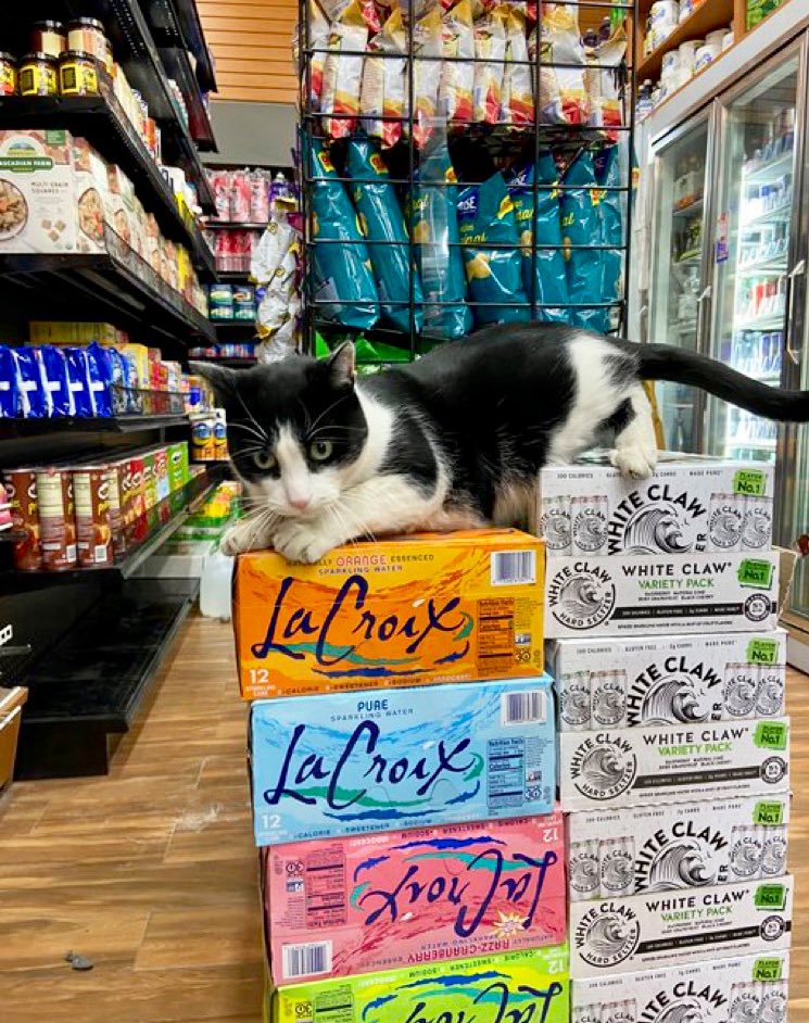 📷 <a href="/ShaferMax/">Max PJ</a>