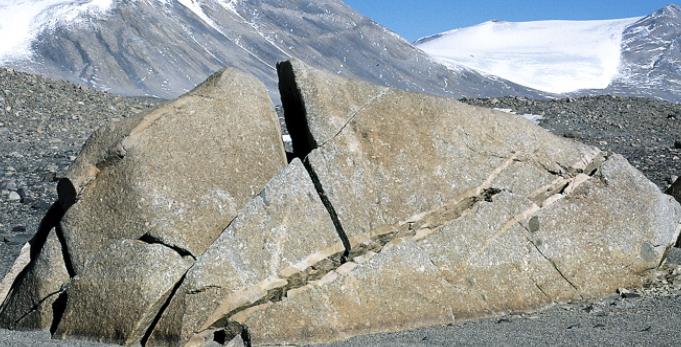 Don't Panic Geocast tweet media