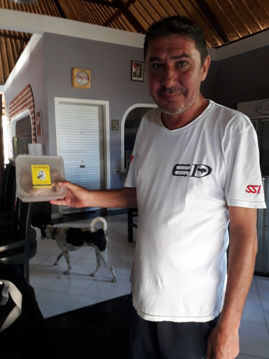 PuyuhBali's tweet photo. Thank you for support local. If you want to try quail menu in any French style... check out Le Bistrot down in Amed Bali. Enjoy the beautiful coral garden under water of NE Bali...and dont forget try the quail menu at Le Bistrot Amed. #French #frenchmenu #quail #amed #bali #dive https://t.co/7fKPP4Zja3