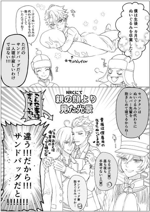 鍛練する相手としてのサンドバッグ=ふーん兄弟子じゃん
運動後疲れて抱きしめて眠ってしまったサンドバッグ=ふーん兄弟子じゃん

ふーんシルセベじゃん…⚔⚡
十数年連れ添ったサンドバッグ…フゥン…🙄 