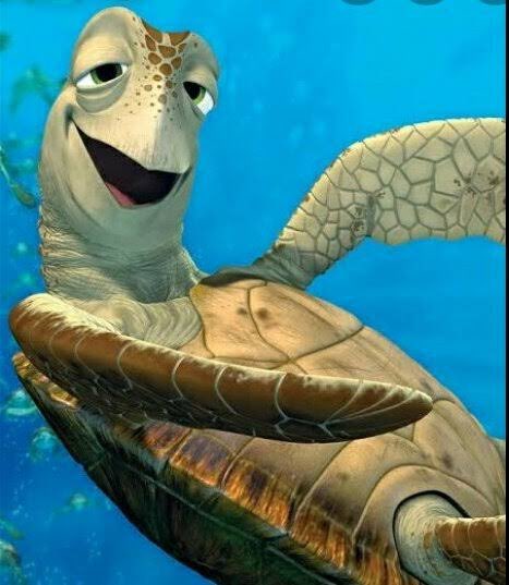 O Scooby tá falando bixo #bbb22