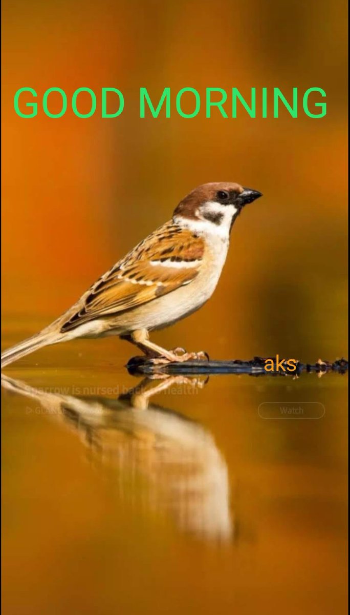 KarimnagarCorp's tweet photo. https://t.co/NPiQrUwrKc