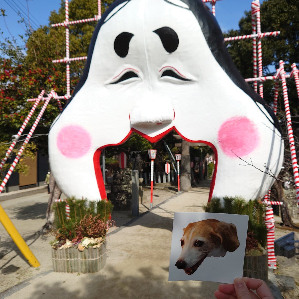 woof_bea4's tweet photo. @BeaglePasha #PashaForever 
Freezing cold today!
Went to a shrine and saw 
The Otafuku mask that brings good fortune. Very big! https://t.co/rZalQ4o2d0
