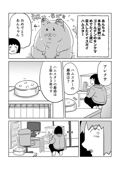 Conversation Between 原宿 And Omocoro 1 Whotwi Graphical Twitter Analysis