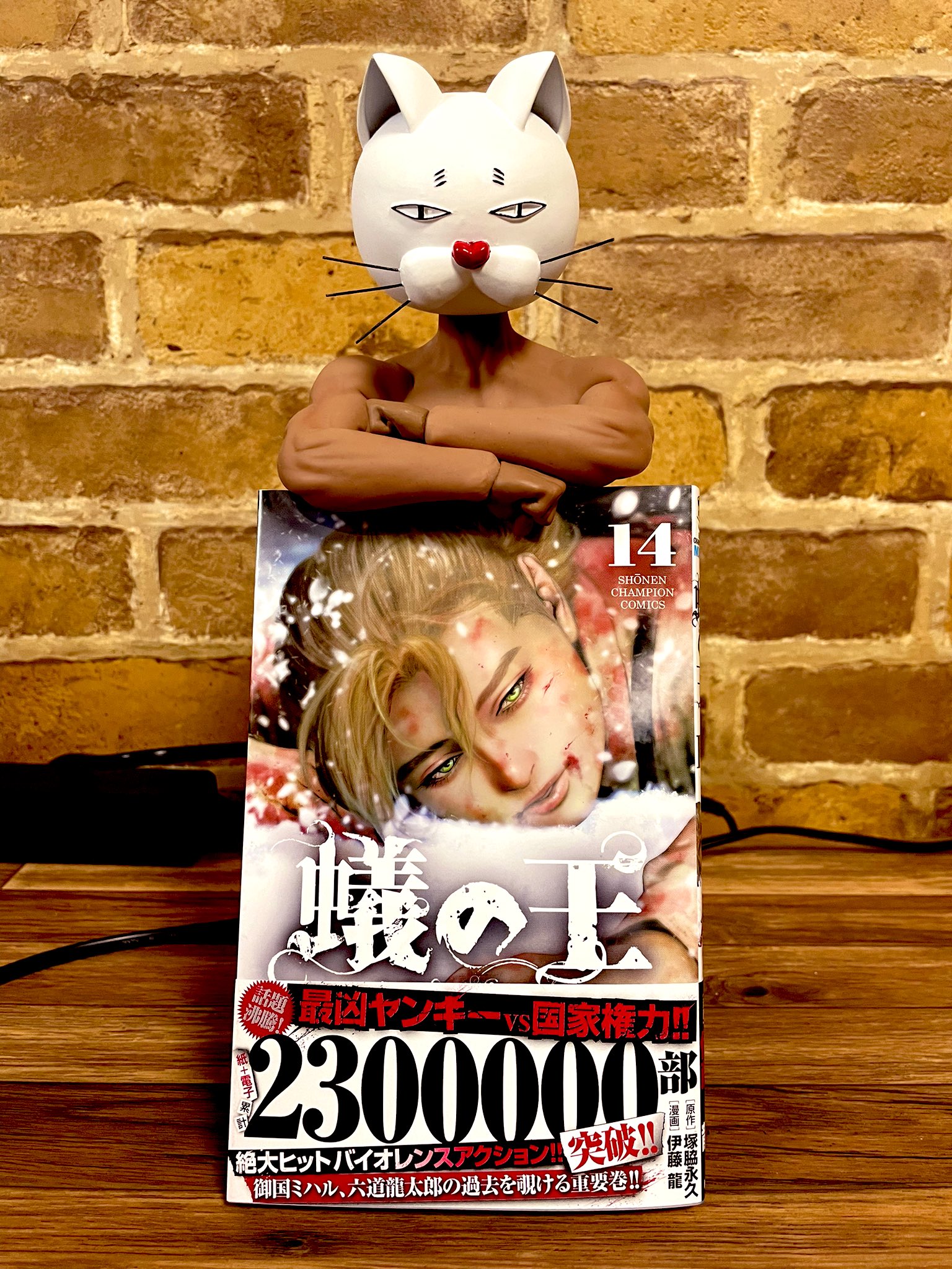 筋肉漫画家 伊藤龍world 蟻の王14巻 本日2月8日発売 230万部突破しました 至って真面目なシーンですが 笑いながら描いた面白見開きがあります 楽しんでくれたら嬉しいです 原作 塚脇永久先生 作画 伊藤龍 私 写真のシラケネコ頭を制作して