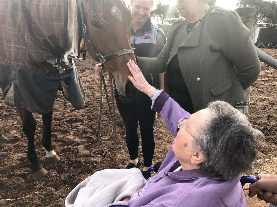 Festival of Racing tweet media