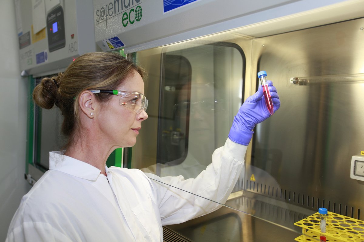 Research at Lifeblood (@lifebloodrnd) on Twitter photo I’m beckyg006. <a href="/lifebloodau/">lifebloodau</a> I grow red blood cells from stem cells. My vision is to provide tailored red cell products for people who can’t get matched donor blood. <a href="/WomenScienceDay/">Women in Science Day</a> #WomenInStem
Read more: donateblood.page.link/gXYK I’m beckyg006. <a href="/lifebloodau/">lifebloodau</a> I grow red blood cells from stem cells. My vision is to provide tailored red cell products for people who can’t get matched donor blood. <a href="/WomenScienceDay/">Women in Science Day</a> #WomenInStem
Read more: donateblood.page.link/gXYK