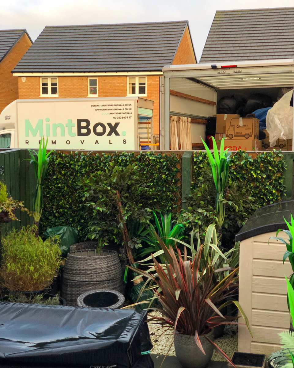Did you know? 

Mintbox are plant based… Up until about lunchtime when Charlie scrans a steak pie 🍃
