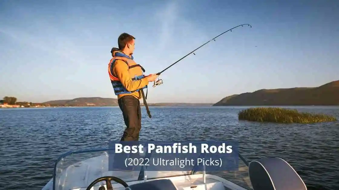 A Great Rod Can Mean The Difference Between Catching A Ton Of Fish, Or Catching None At All. Check Out These 5 Awesome Panfish Rods!

#fishinglife #fishingfun 

sensiblefishing.com/best-panfish-r…
